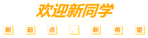10.png