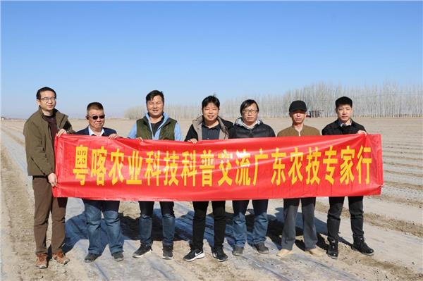 图片8.JPG
