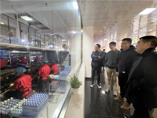 以商为媒聚合力 平台赋能引新篇