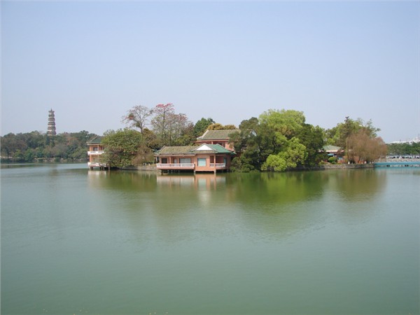 植新绿 开新局 谱新篇——惠州2026年义务植树活动火热开展