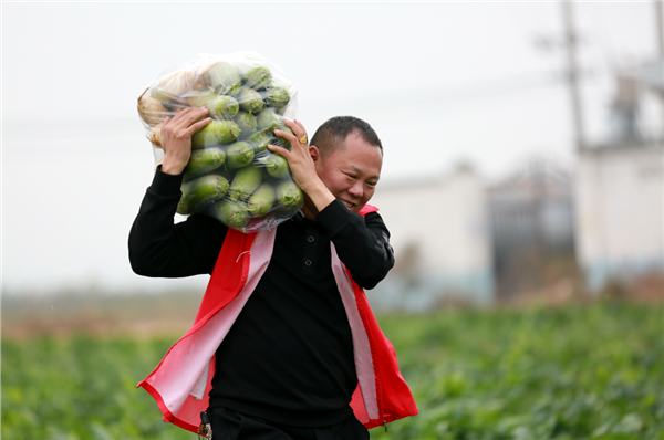 公益行者杨延党：从“一个人”到“一群人”的十年路