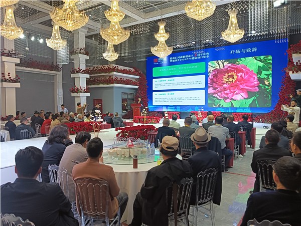 德商汇河南联盟成立八周年庆典暨“德康汇”健康项目发布会在洛阳举行图3