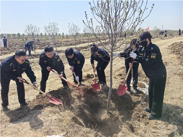 乌兰察布集宁区：常青执法队“植”守绿色初心 绘就生态发展新画卷——积极参与2026年集宁区干部职工义务植树活动纪实
