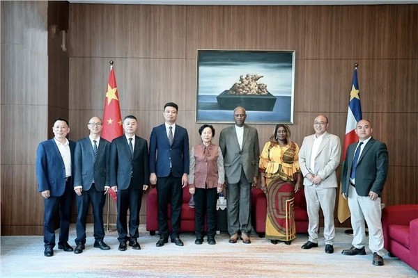 2026中国四川-中非共和国经贸合作论坛在蓉圆满举办 搭建数字桥梁 共促互利共赢