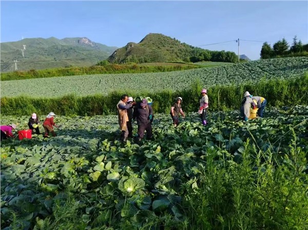自然能提水破解缺水困局 东西协作赋能东川乡村振兴图2