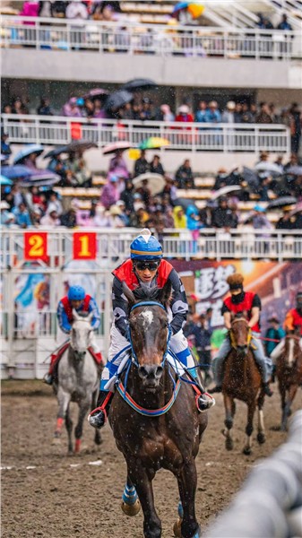 策马逐梦新征程！2026迪庆·香格里拉赛马会6月19日盛大启幕