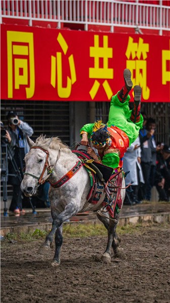 策马逐梦新征程！2026迪庆·香格里拉赛马会6月19日盛大启幕