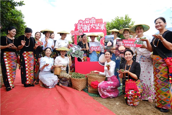 南博会飘香“高原黄金果” 迪思坚果深耕全产业链 从滇西田野迈向全球市场