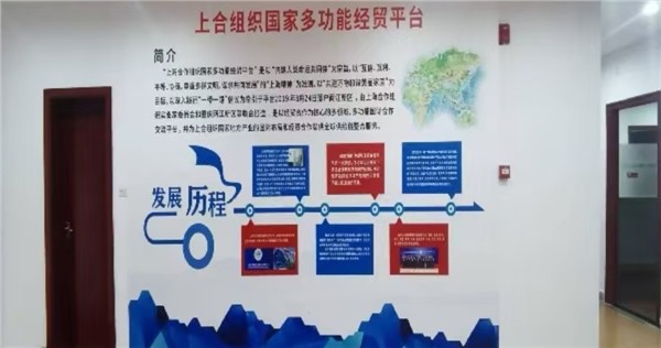 深化经贸联动合作 赋能产业高质量发展——杨俊贤一行赴上合组织国家多功能经贸平台考察调研