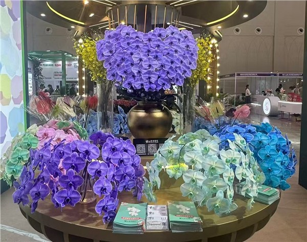 “象”往云南 世界花园:第二十四届昆明花展、2026云南咖啡展、2026云南茶博会开幕——五大高原特色产业联展 双主宾国+主宾省共促开放合作