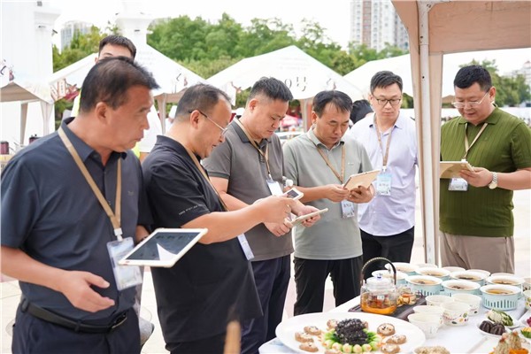 匠心烹药膳 赛场绽芳华！济源代表队在河南省第二届药膳技能大赛斩获多项殊荣